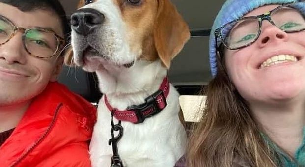 Fraser_lockdown_621_340_80_c1 a dog wearing sunglasses posing for the camera